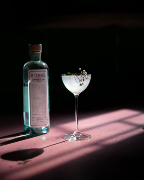 Agáve pop-up v Kaviár Prague