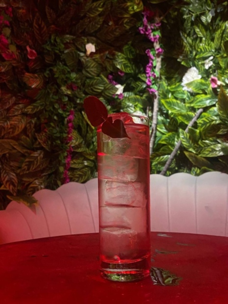 Garden Highball