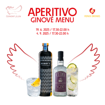 Aperitivo v Červeném Jelenovi s giny Bobby's a Cero2